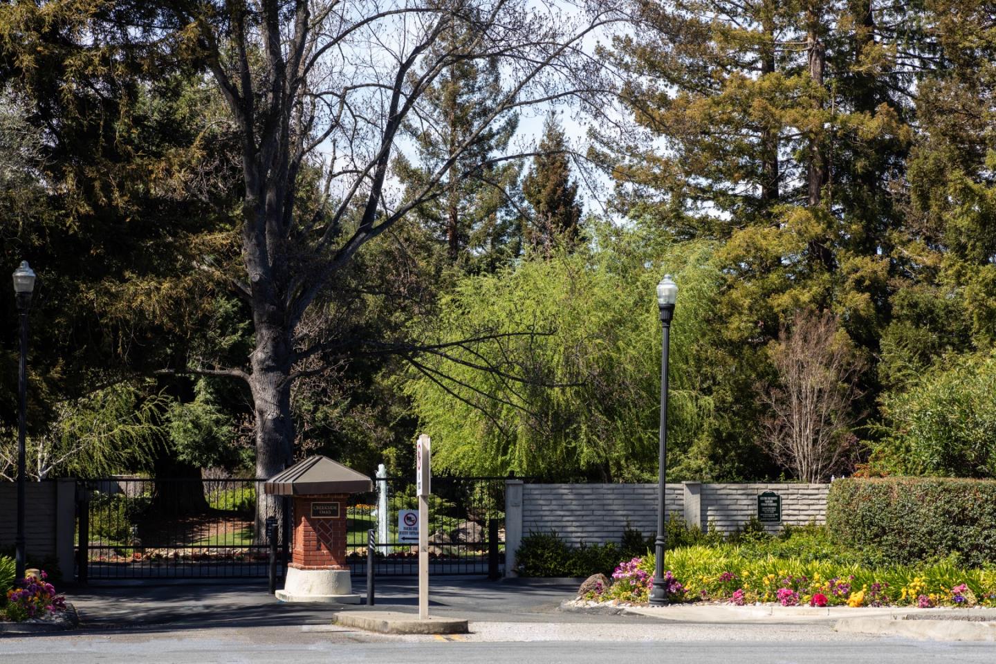 71 Bay Tree Lane Los Altos, CA 94022 - Photo 25 of 32 a view of a street with potted plants and large trees