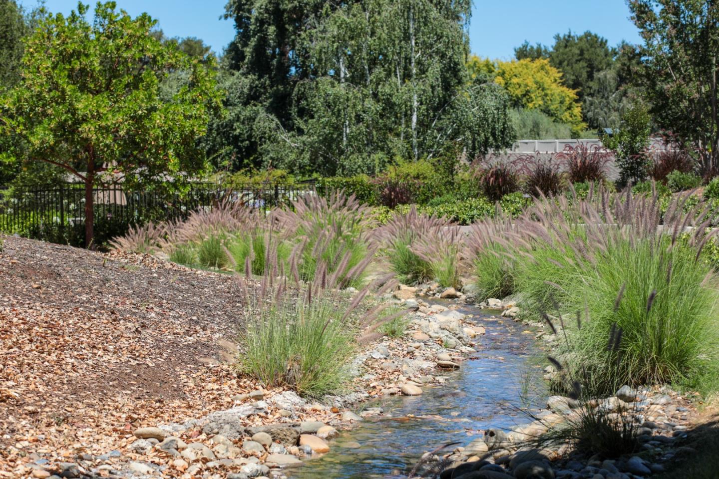 71 Bay Tree Lane Los Altos, CA 94022 - Photo 28 of 32 a view of a garden with a tree