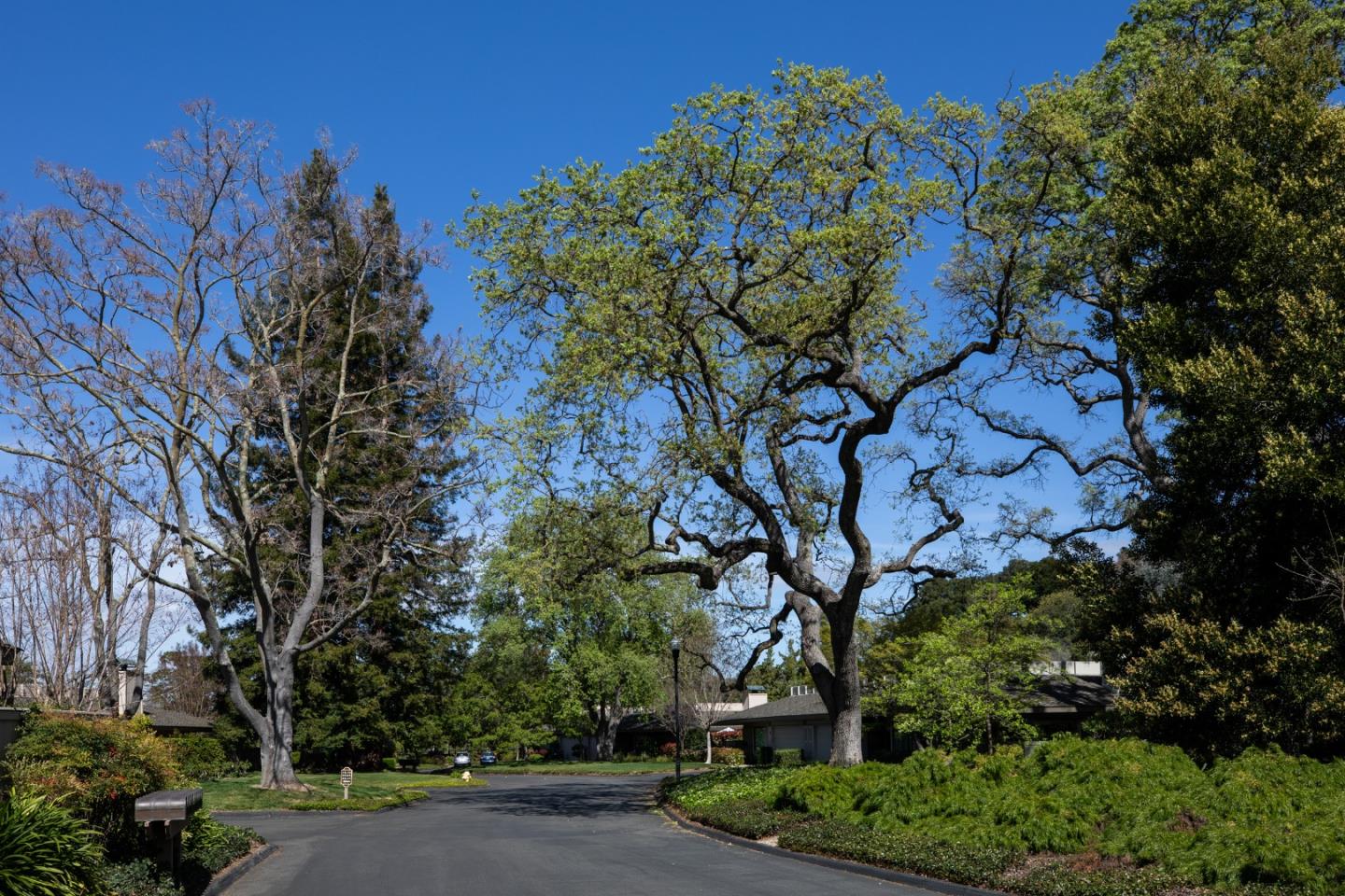 71 Bay Tree Lane Los Altos, CA 94022 - Photo 31 of 32 a backyard of a house with lots of green space
