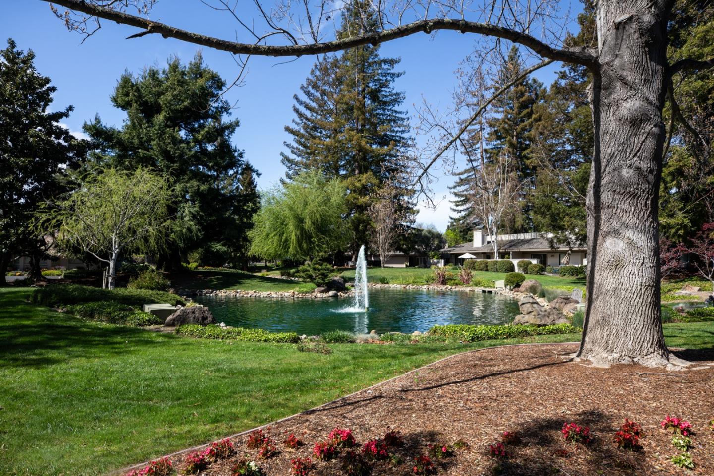 71 Bay Tree Lane Los Altos, CA 94022 - Photo 32 of 32 a backyard of a house with lots of green space
