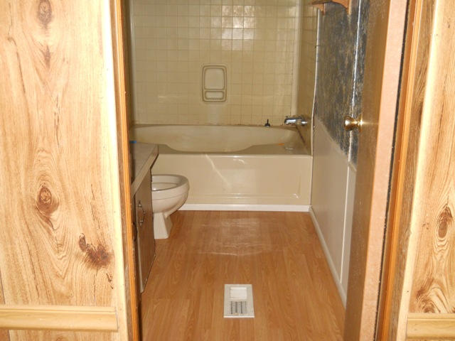 3381 Irish Road Chatham, VA 24531 - Photo 13 of 15 a bathroom with a shower