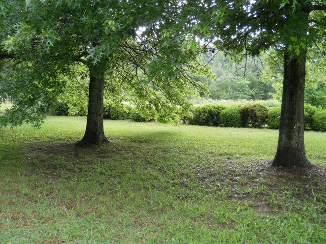 3381 Irish Road Chatham, VA 24531 - Photo 8 of 15 a view of a field with a tree
