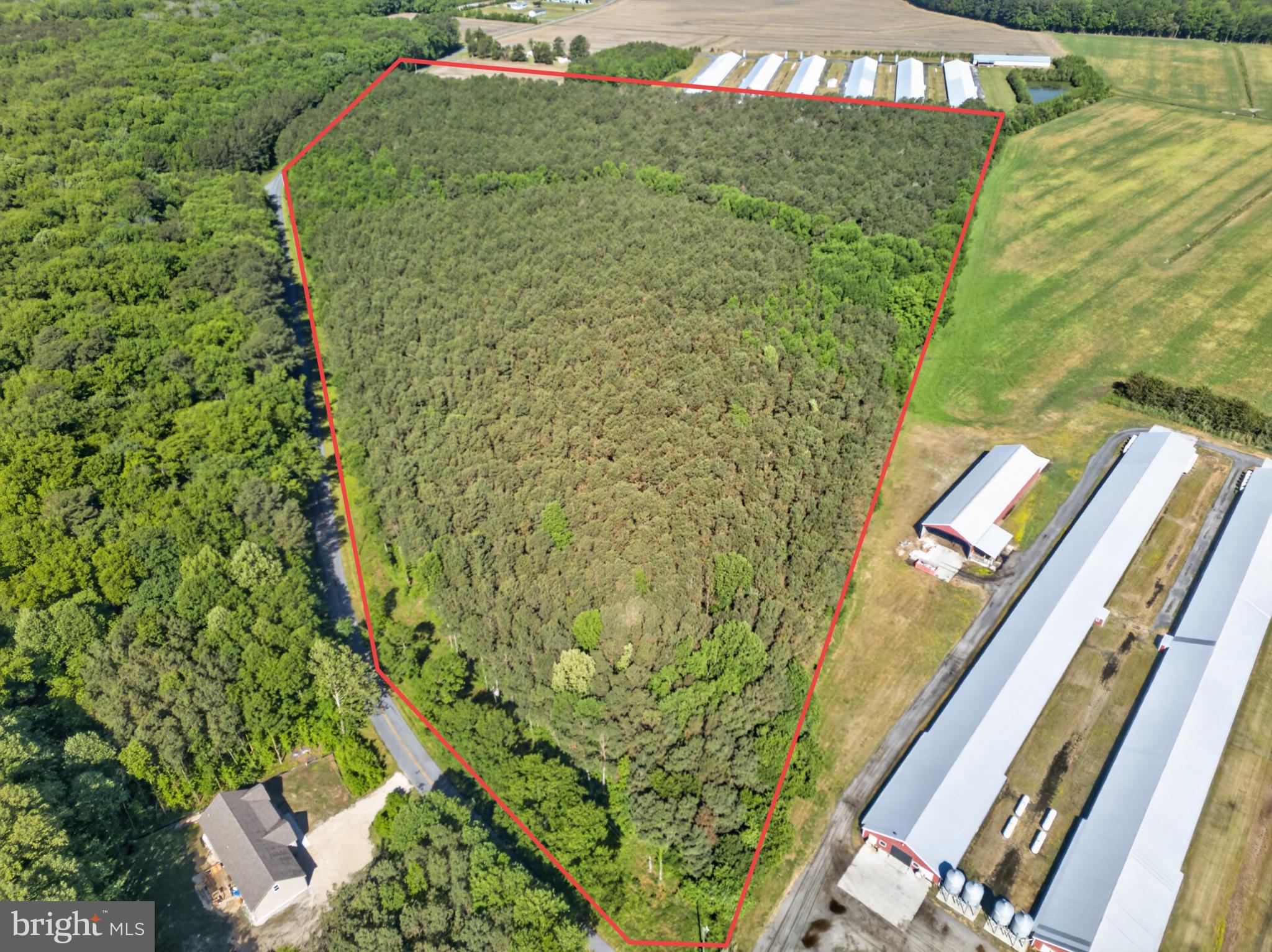 Johnson Neck Road Pocomoke City, MD 21851 - Photo 1 of 9 a bird view of a garden