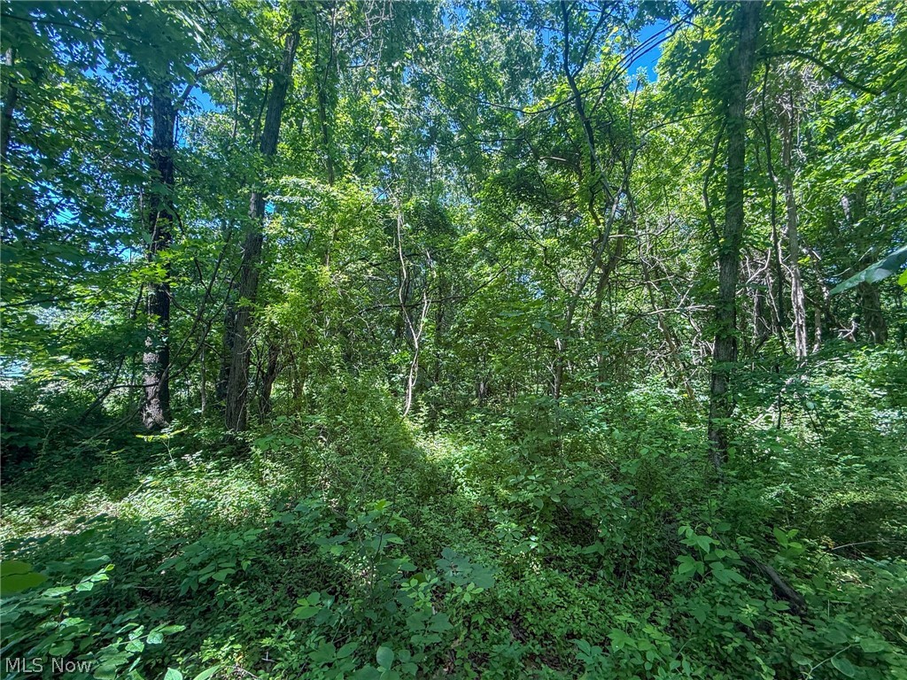 Keffer Road Stockport, OH 43787 - Photo 22 of 25