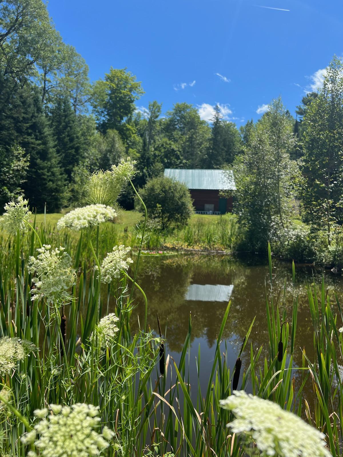 19 Back Winterport Road Winterport, ME 04496 - Photo 53 of 56 Pondview