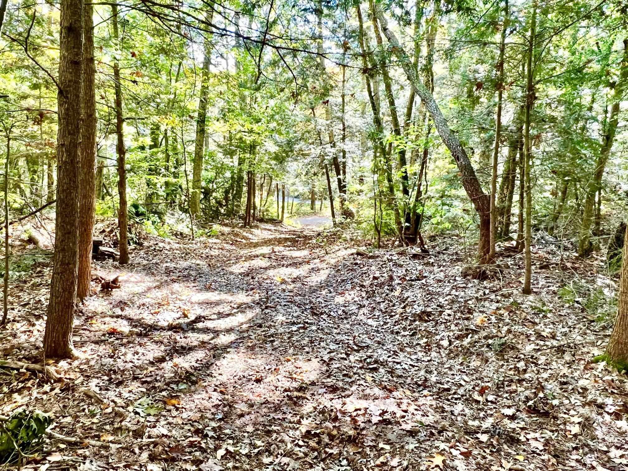 253 Hutchins Road Chesterfield, NH 03466 - Photo 11 of 17