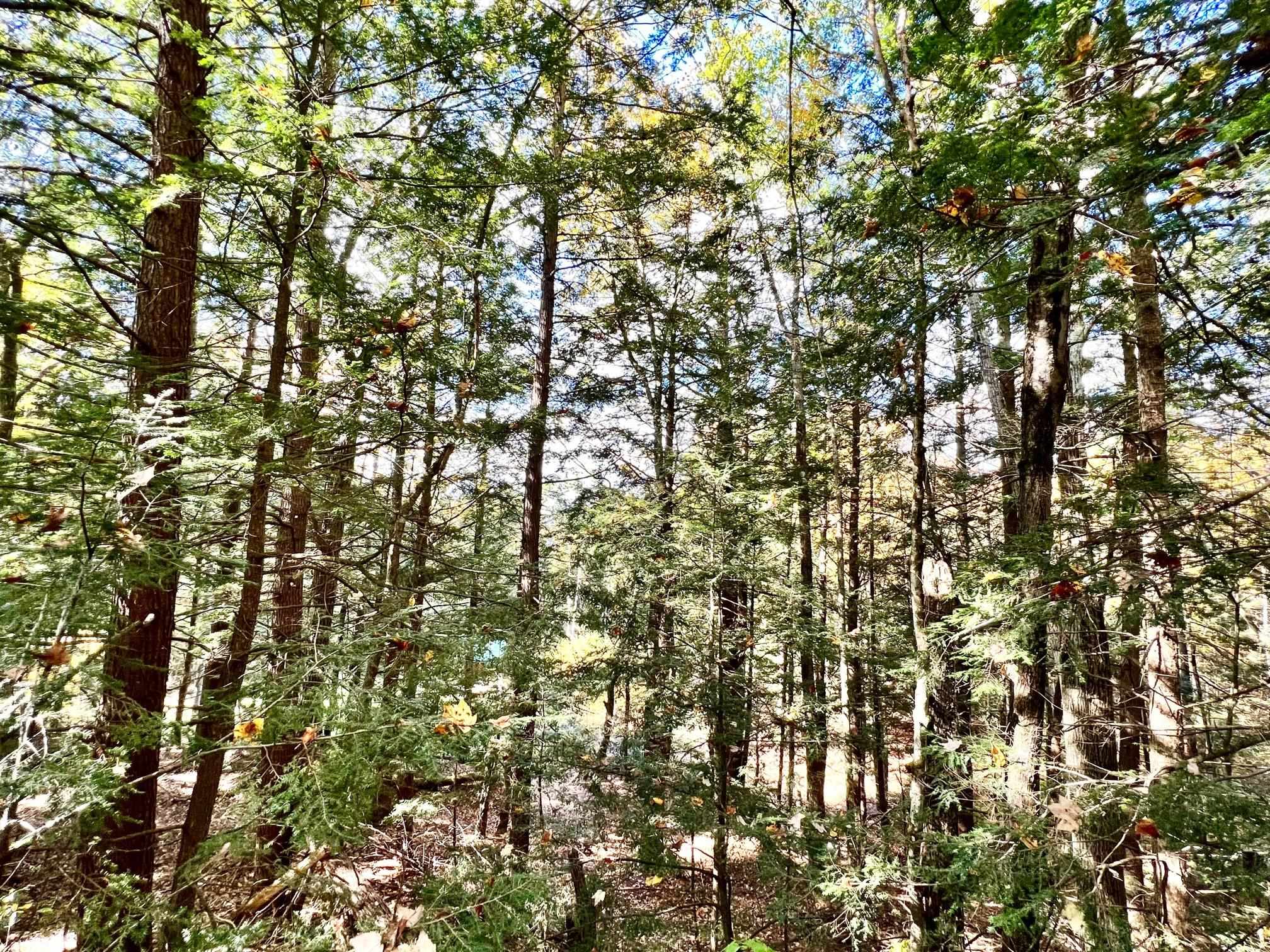 253 Hutchins Road Chesterfield, NH 03466 - Photo 6 of 17