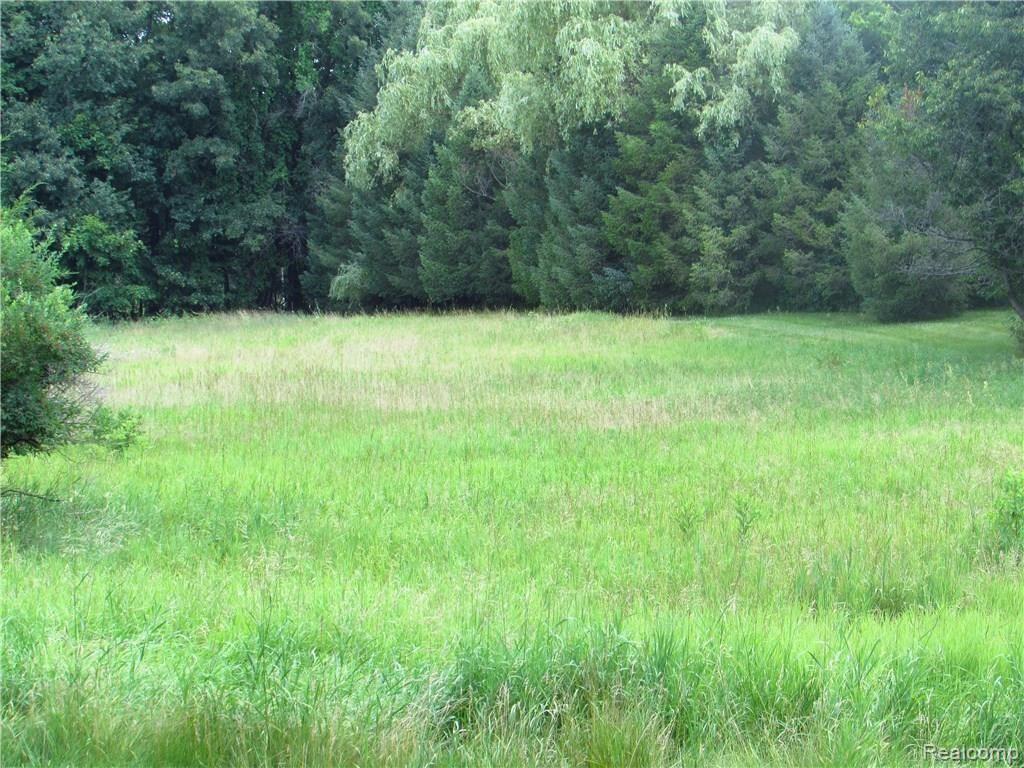 0 Lakeville Road Oxford, MI 48371 - Photo 2 of 5