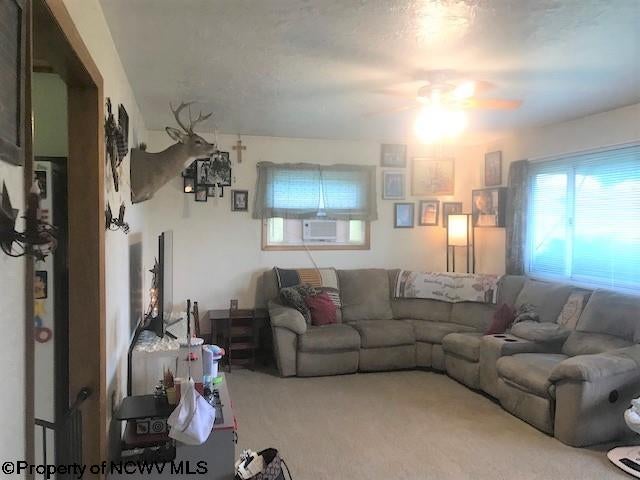 439 Pineview Road Masontown, WV 26542 - Photo 8 of 15 Gallery Image 8
