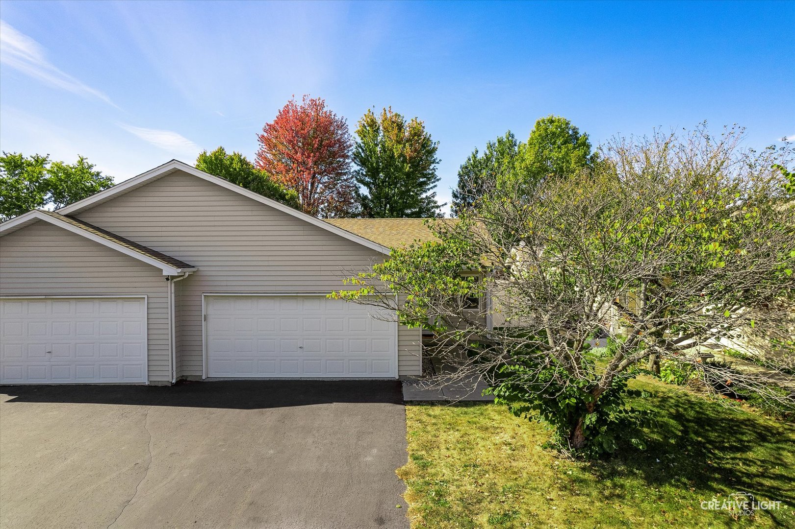 48 Silver Trail North Aurora, IL 60542 - Photo 2 of 29 a backyard of a house with plants and trees