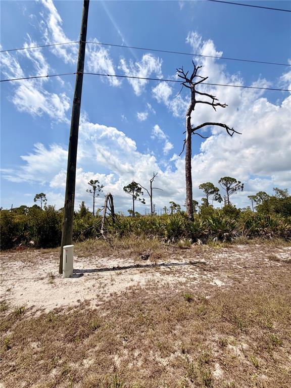 6 Harness Road Placida, FL 33946 - Photo 2 of 10