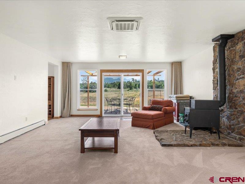 198 Meadow Lane Ridgway, CO 81432 - Photo 7 of 33 Gallery Image 7