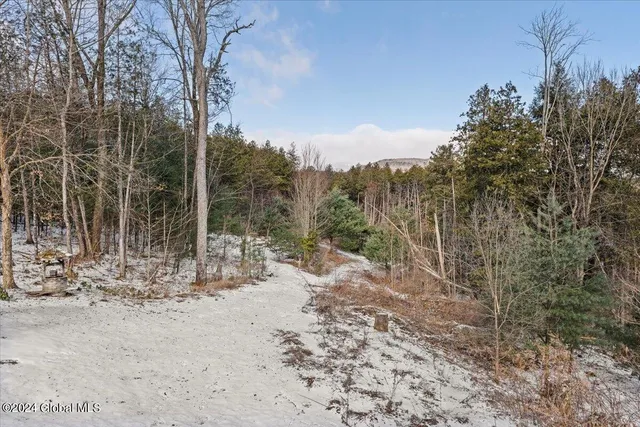 $650,000 | 2280 Highway 28, Johnsburg, NY 12886