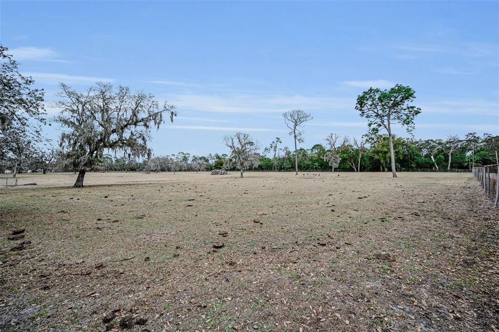 7230 Old Homestead Road New Port Richey, FL 34654 - Photo 94 of 99 Gallery Image 94