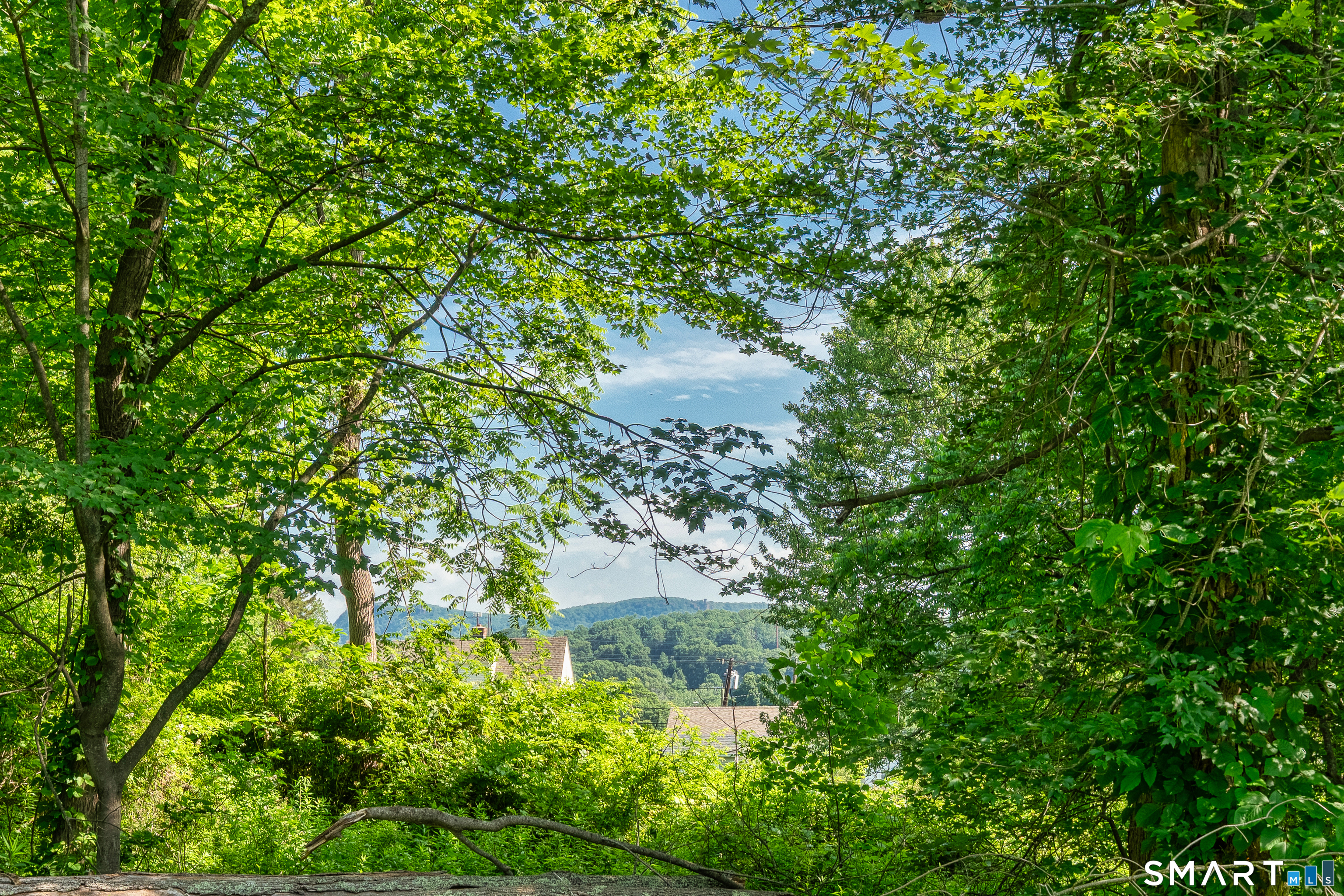 96 Lynn Drive Meriden, CT 06451 - Photo 37 of 39 96 Lynn Drive - View Through Trees