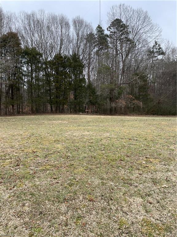 0 Link Road Lexington, NC 27295 - Photo 4 of 5 Gallery Image 4