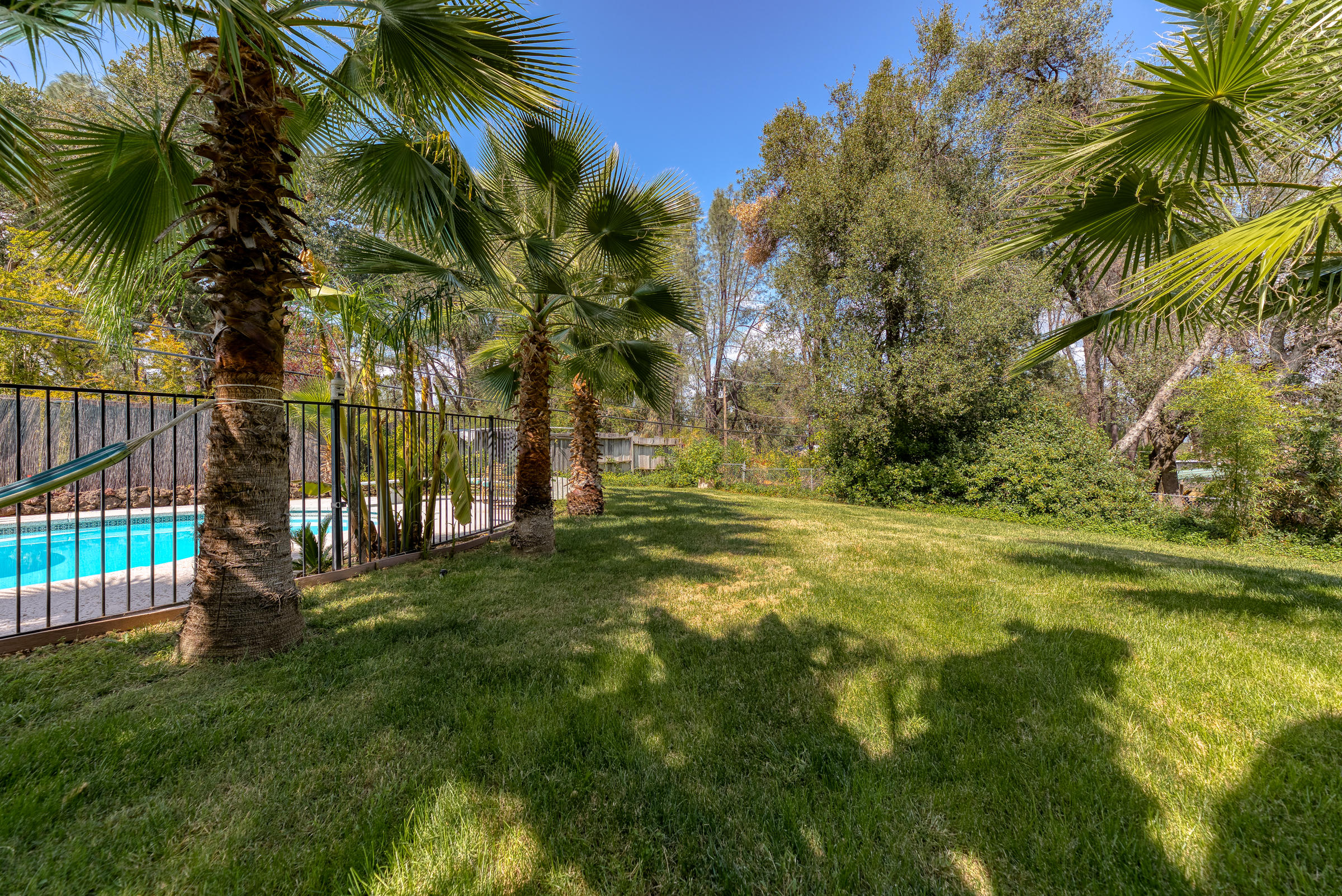 2016 Canyon Road Redding, CA 96001 - Photo 30 of 35 a view of a yard with a palm tree