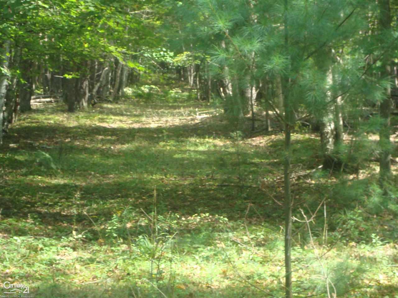 1390 West Youngs Road Gladwin, MI 48624 - Photo 56 of 75