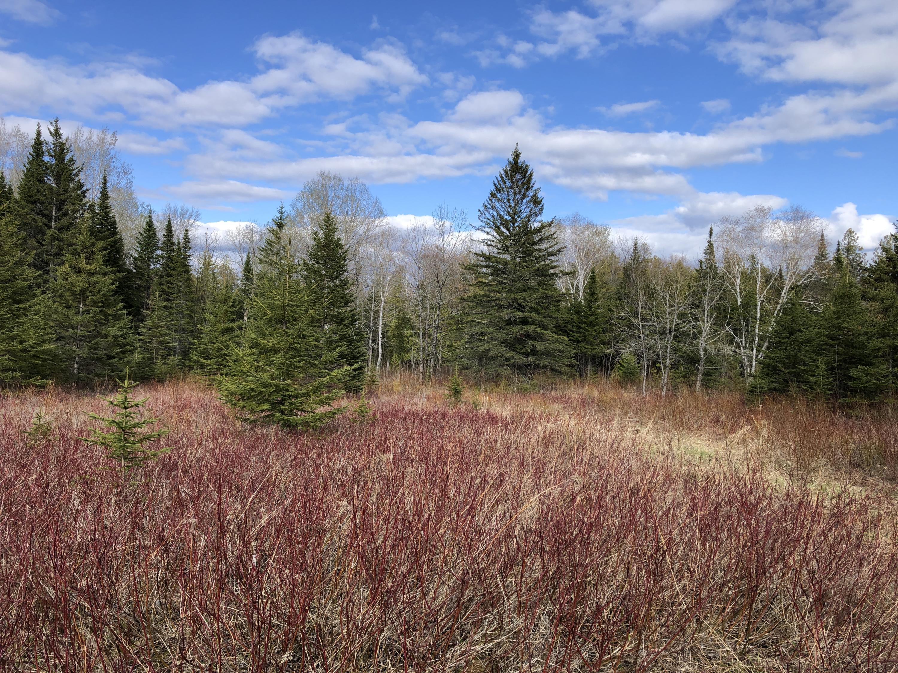 Map3-lot22 Campground Road Caribou, ME 04736 - Photo 9 of 14 Campground Hill Rd Caribou Land May 2021