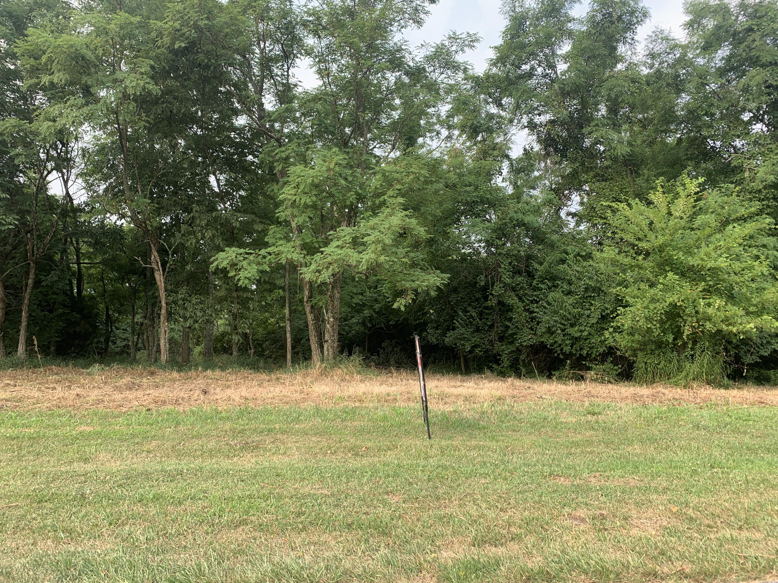 2.2-acres Kennedy Ridge Road Falmouth, KY 41040 - Photo 7 of 11 Gallery Image 7