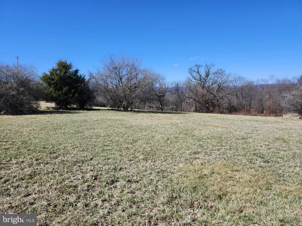 a view of a field with trees in the background