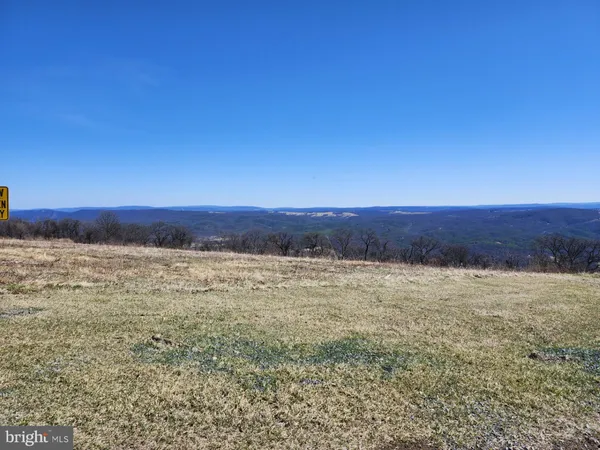 a view of a large trees