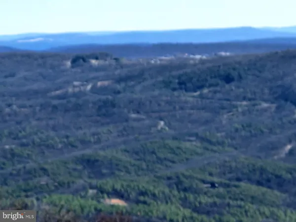 a view of a yard with wooden fence