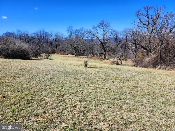 a backyard of a house with trees