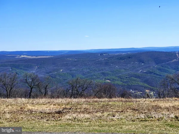 a view of a yard with a mountain