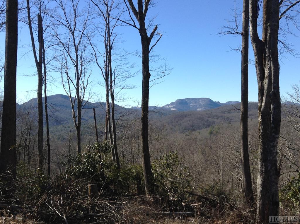 Lot 8 Whitewater Rdg Road Maggie Valley, NC 28751 - Photo 3 of 12 Gallery Image 3