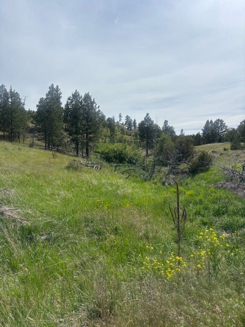 147 Haystack Coulee Road Reed Point, MT 59069 - Photo 8 of 15 Gallery Image 8