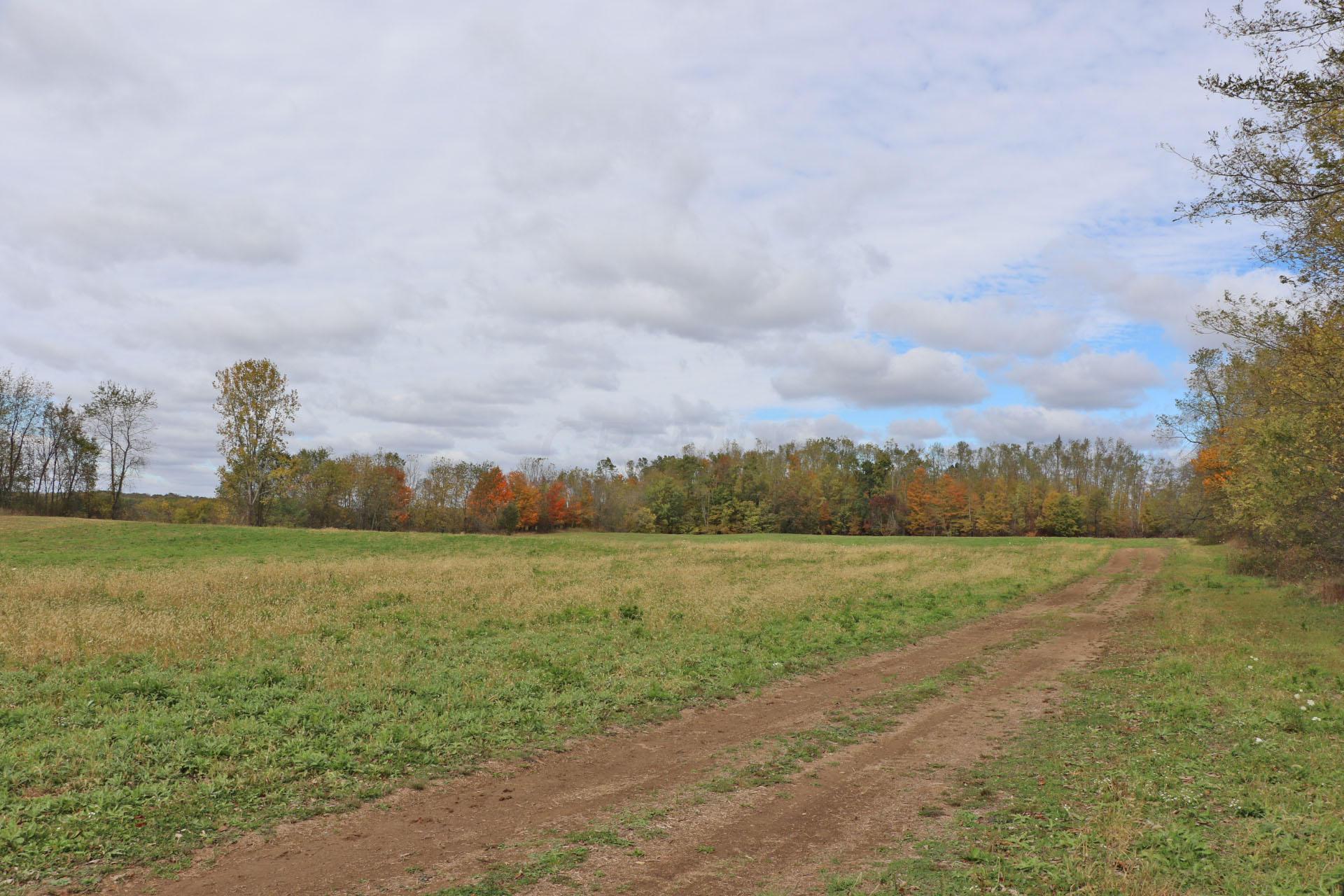 0 Ankneytown Road Fredericktown, OH 43019 - Photo 1 of 5