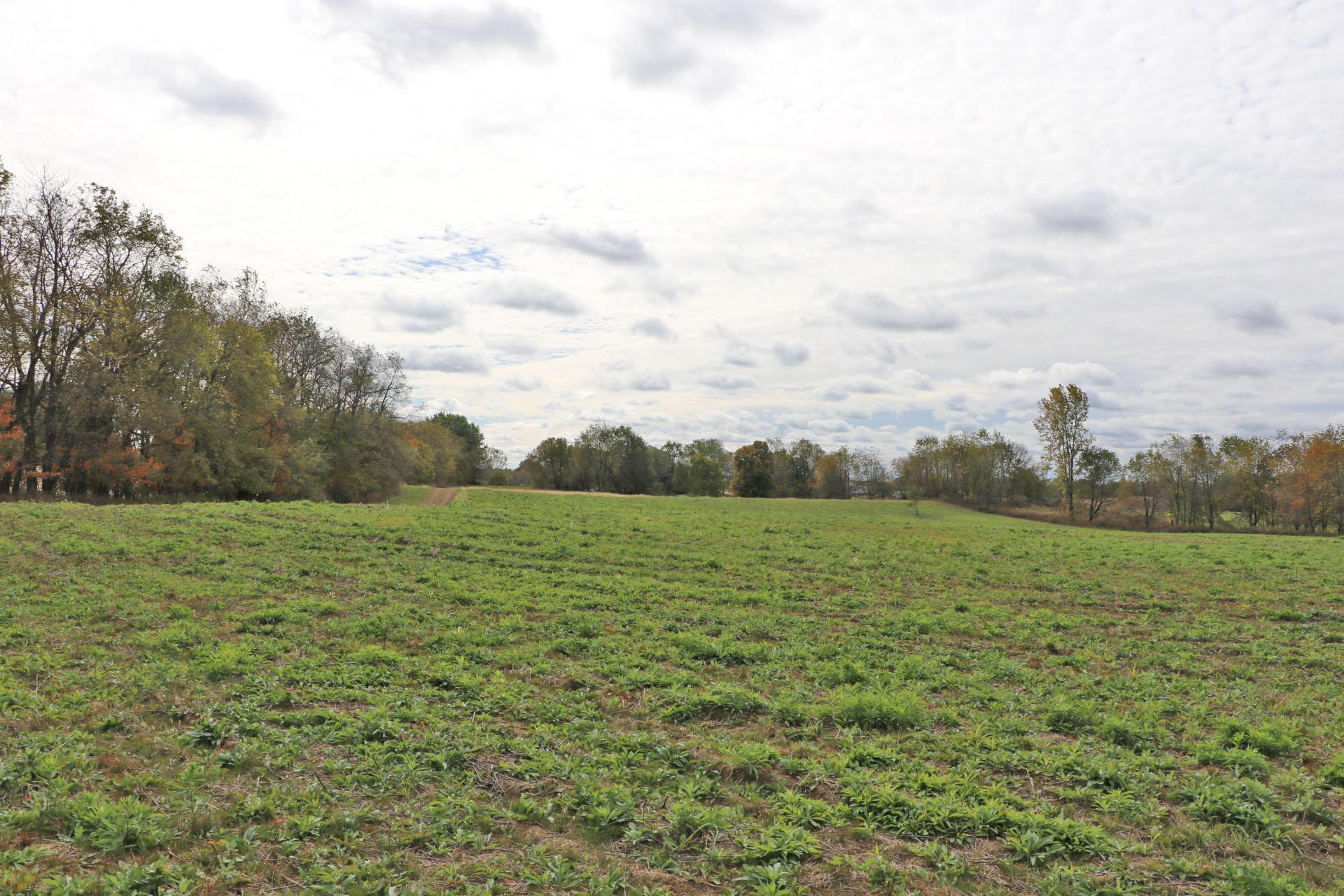 0 Ankneytown Road Fredericktown, OH 43019 - Photo 2 of 5