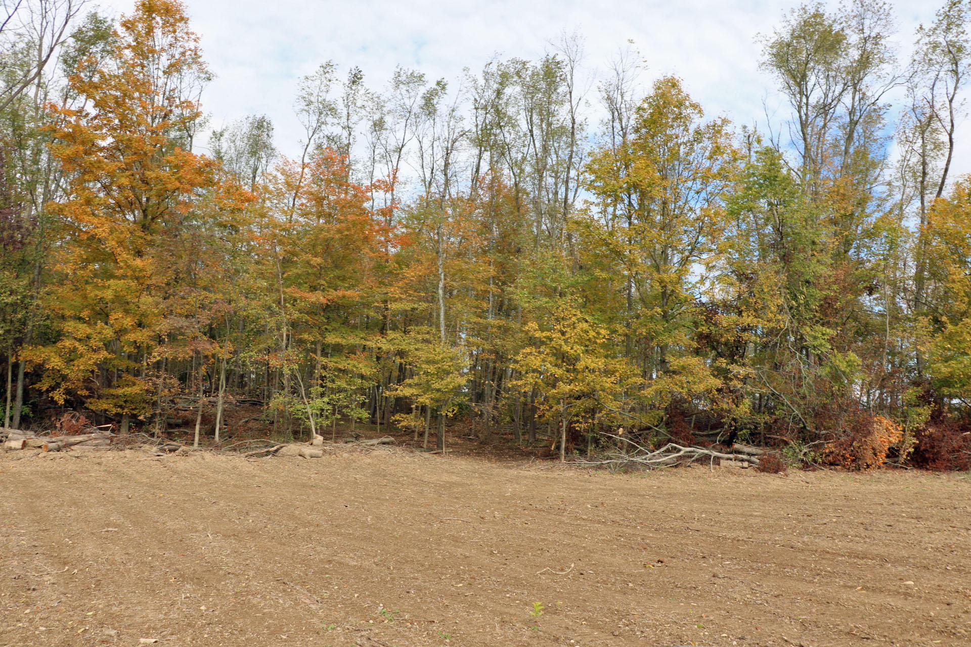 0 Ankneytown Road Fredericktown, OH 43019 - Photo 3 of 5