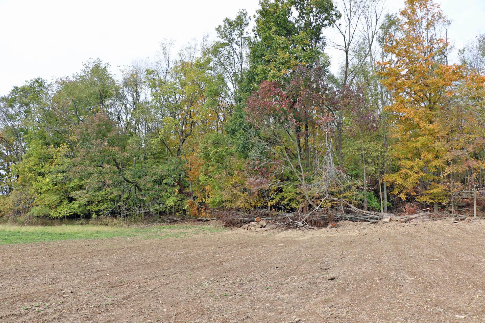0 Ankneytown Road Fredericktown, OH 43019 - Photo 4 of 5