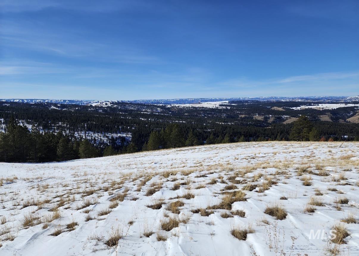 Lot 91 Pilgrim Ridge Road White Bird, ID 83554 - Photo 31 of 35