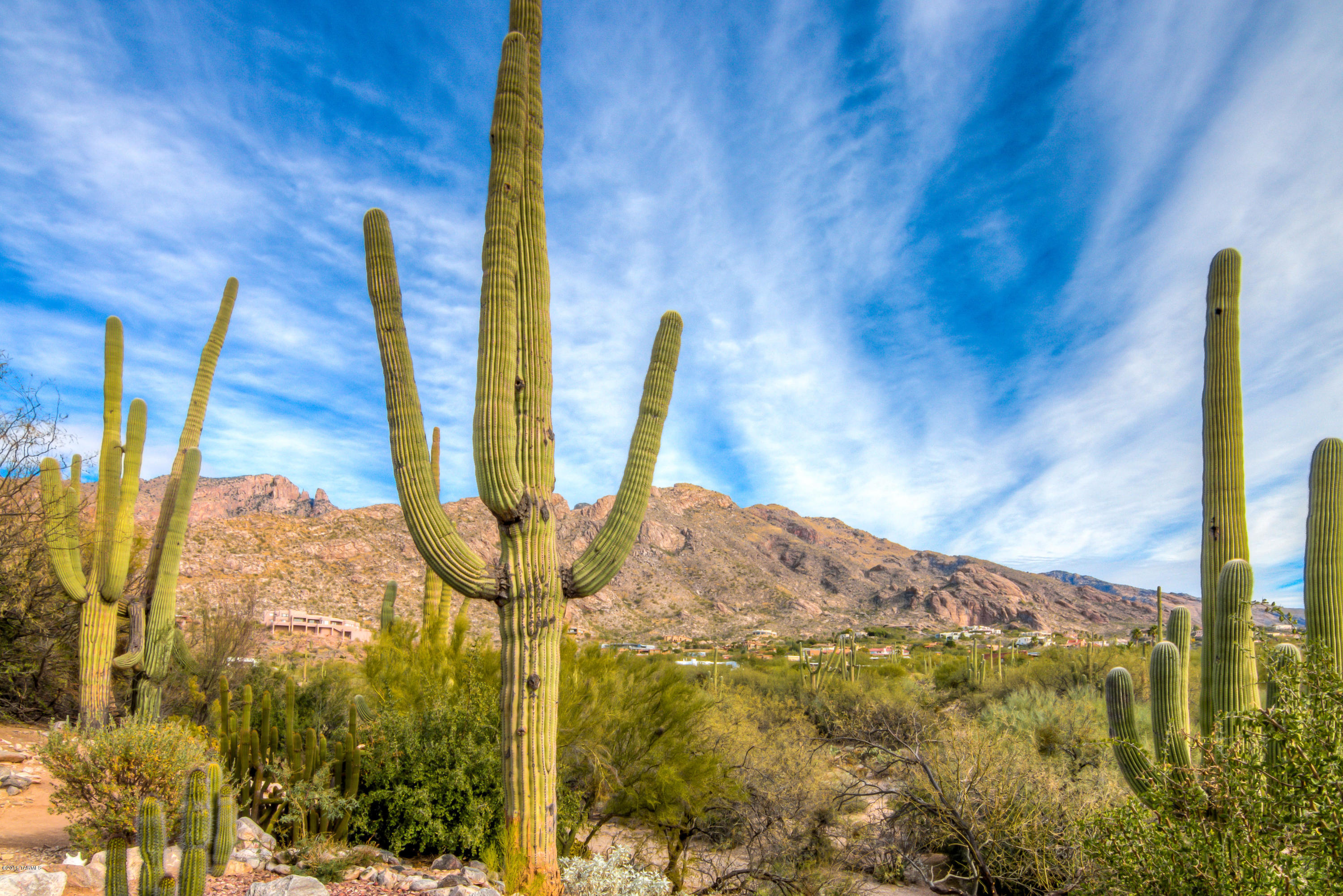 4335 East Havasu Road Tucson, AZ 85718 - Photo 14 of 20 Gallery Image 14