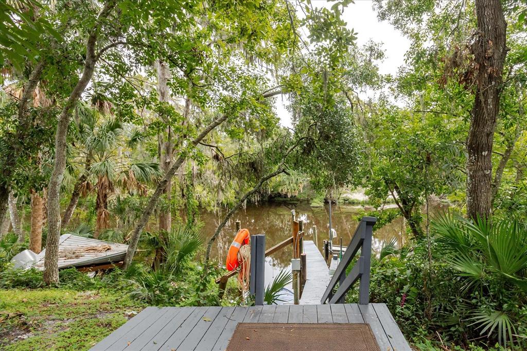 8304 Revels Road Riverview, FL 33569 - Photo 71 of 99