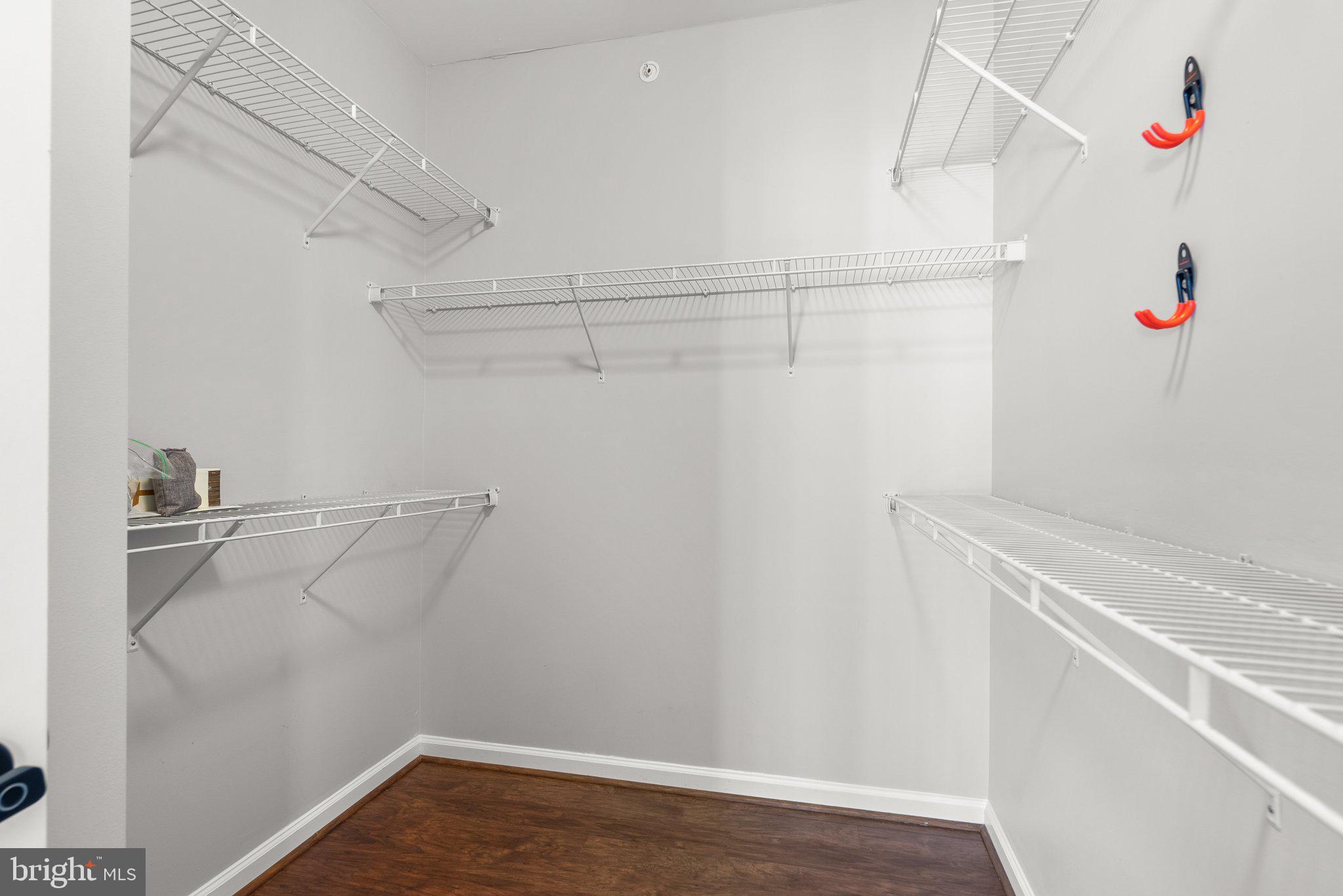 24684 Footed Ridge Terrace Sterling, VA 20166 - Photo 15 of 25 Primary walk-in closet