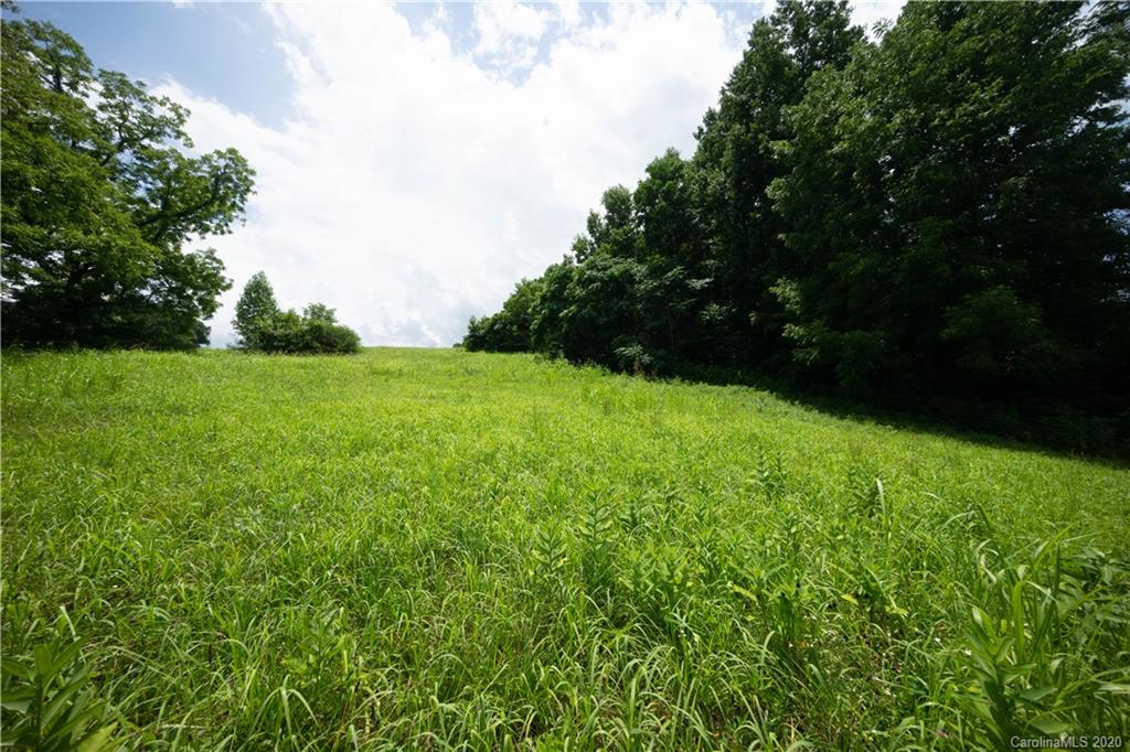 0 Jericho Road Harmony, NC 28634 - Photo 7 of 17 a view of yard with green space