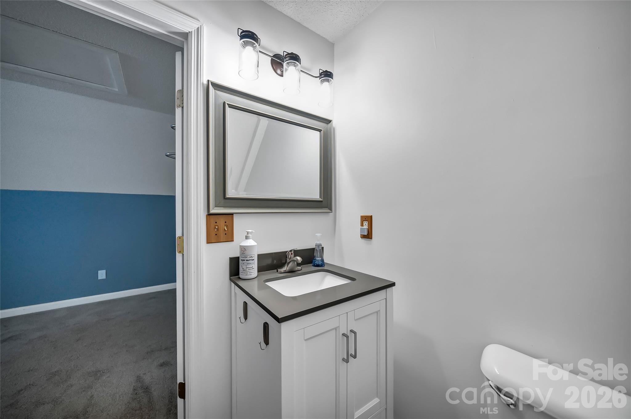 1273 State Rd S-20-317 Winnsboro, SC 29180 - Photo 39 of 48 a bathroom with a sink a toilet and mirror