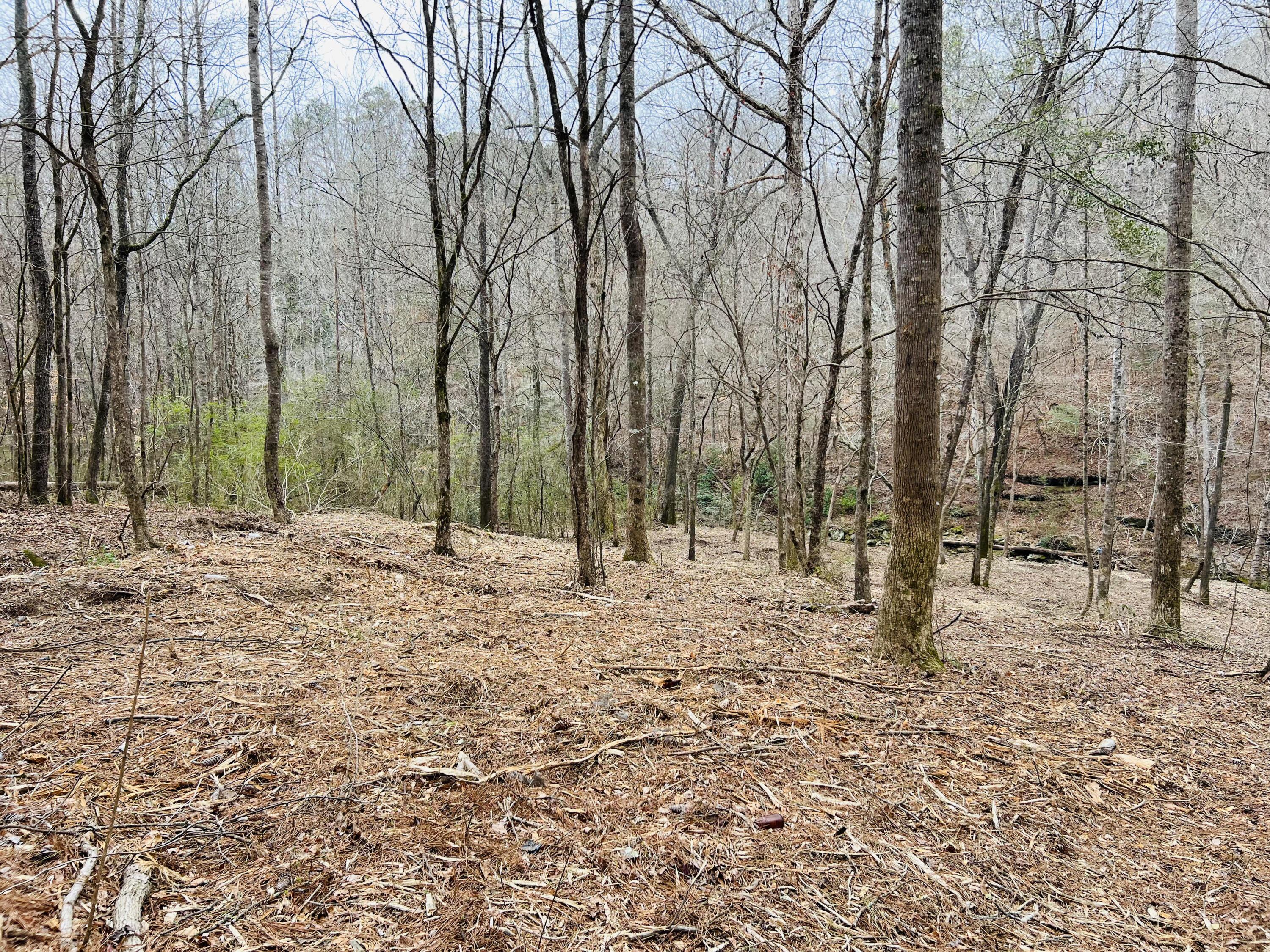 39 Co Road Addison, AL 35540 - Photo 12 of 32 Gallery Image 12