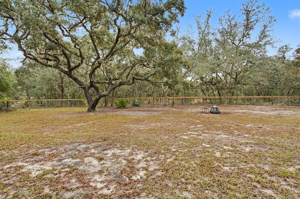 8291 Northeast 118th Terrace Bronson, FL 32621 - Photo 23 of 25 a view of outdoor space with garden