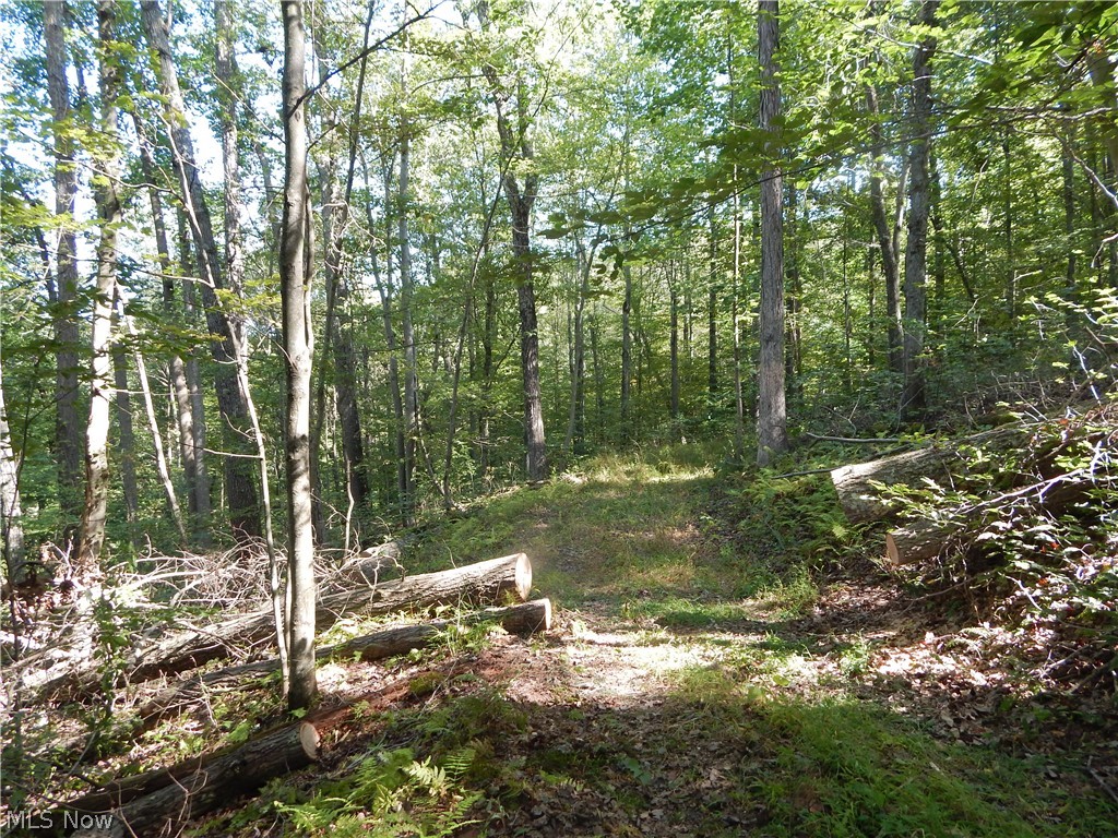 Brushy Fork Road Cairo, WV 26337 - Photo 26 of 29 Gallery Image 26