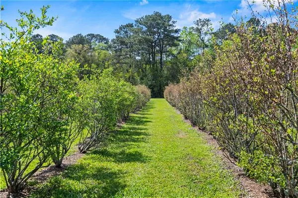 $585,000 | 50247 Highway 445, Loranger, LA 70446