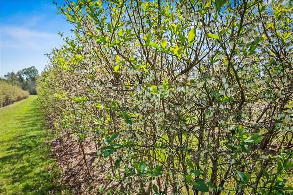 $585,000 | 50247 Highway 445, Loranger, LA 70446