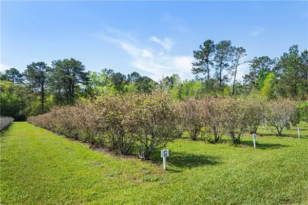 $585,000 | 50247 Highway 445, Loranger, LA 70446