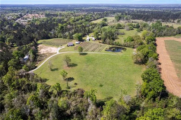 $585,000 | 50247 Highway 445, Loranger, LA 70446