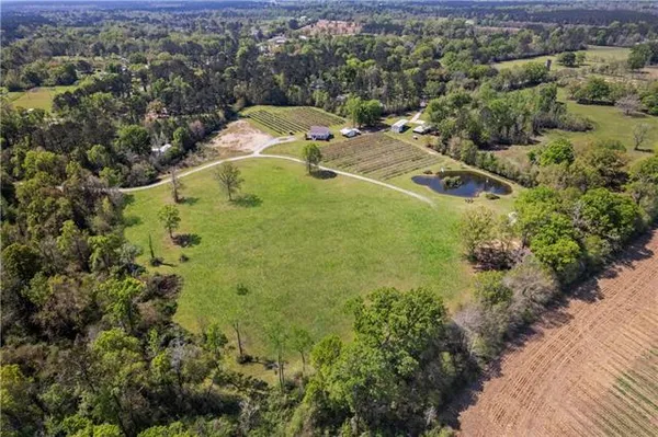 $585,000 | 50247 Highway 445, Loranger, LA 70446