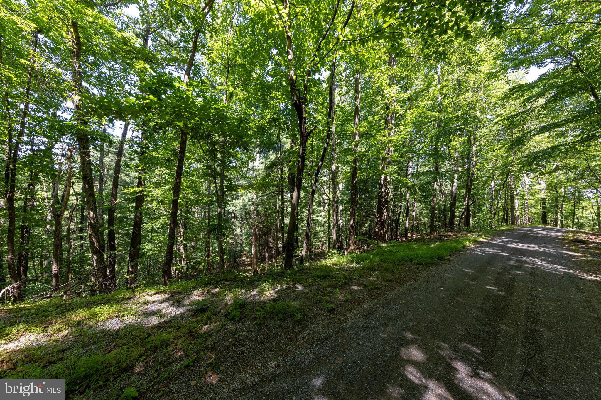 0 Helms Road Stanley, VA 22851 - Photo 26 of 50